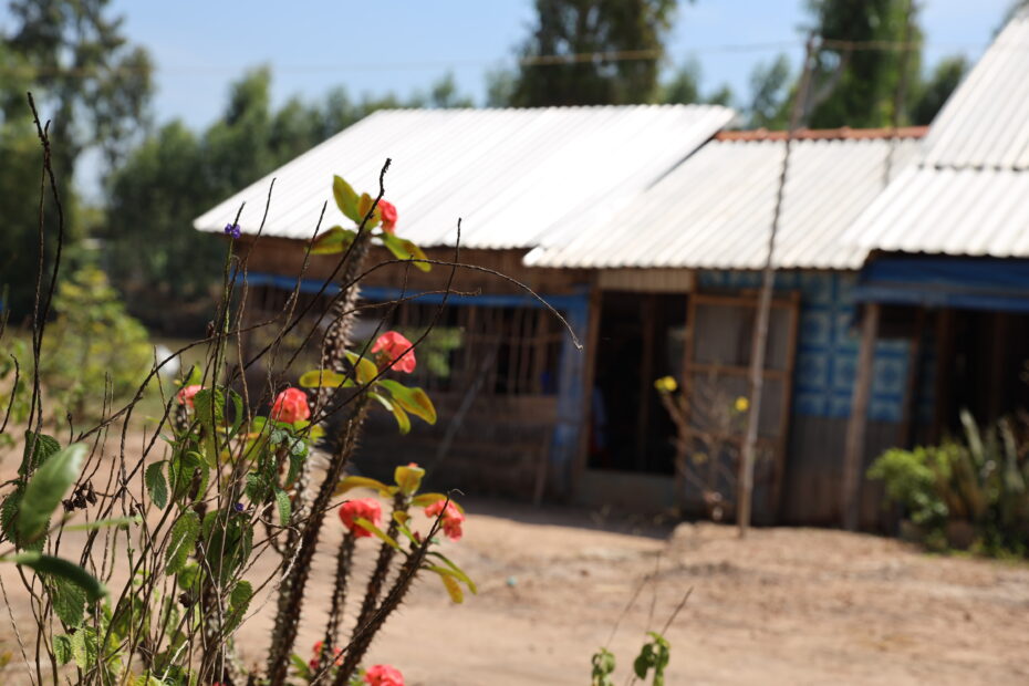 nhà của kỹ sư phát